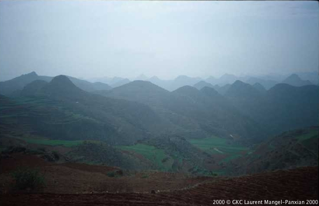 036.jpg 036.jpg