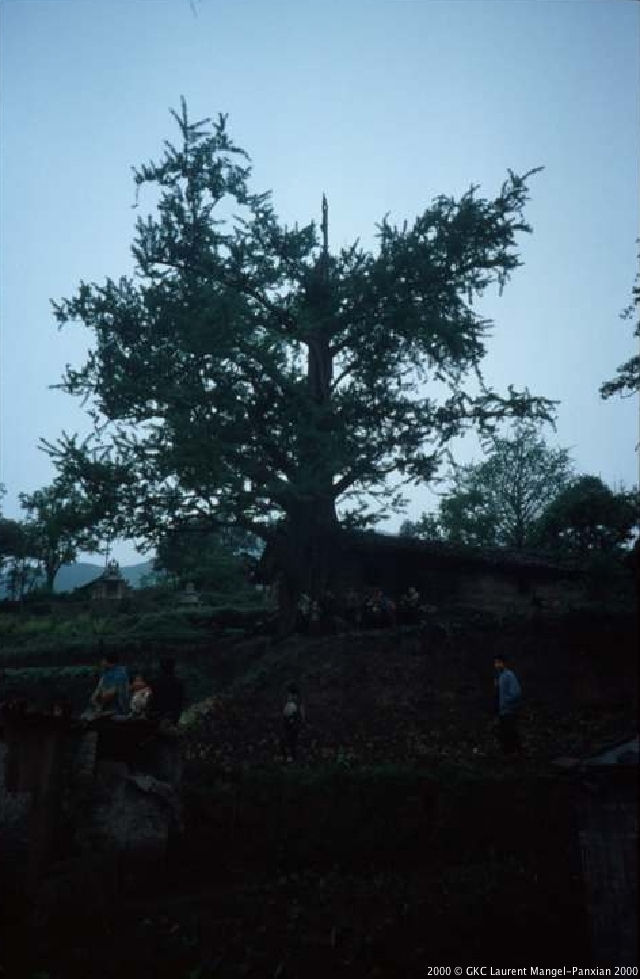 189.jpg 189.jpg