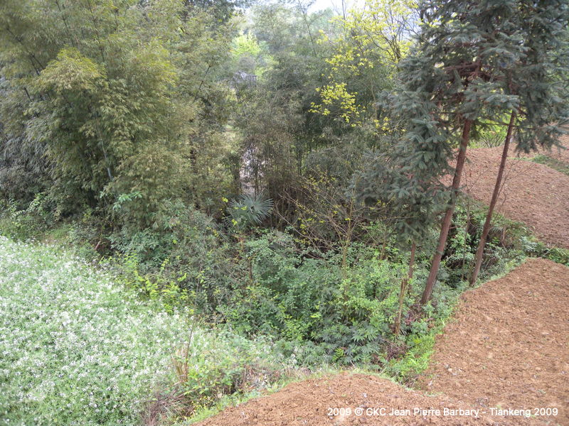 DSCN1092.JPG DSCN1092.JPG