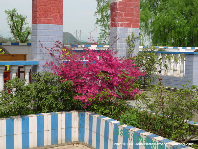 P1000424.JPG P1000424.JPG