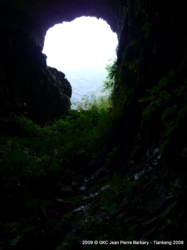 P1000530.JPG P1000530.JPG