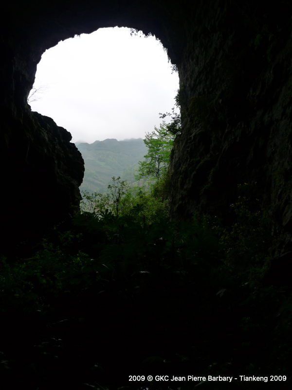 P1000533.JPG P1000533.JPG