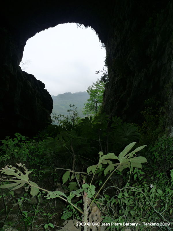 P1000535.JPG P1000535.JPG