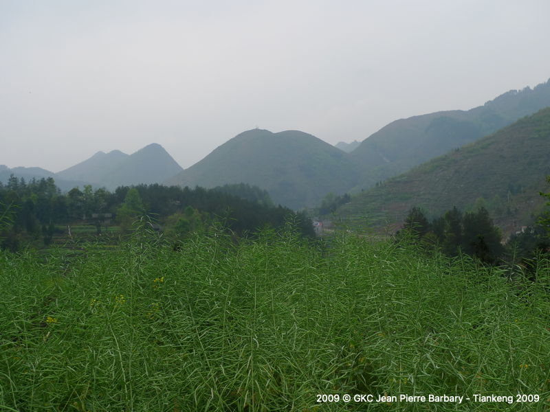 P1000587.JPG P1000587.JPG