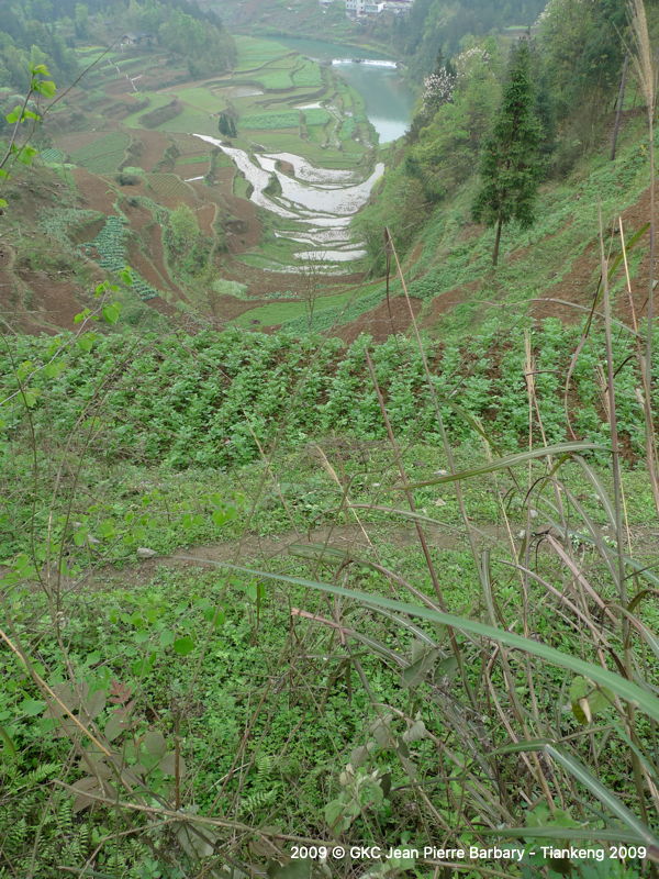 P1000595.JPG P1000595.JPG