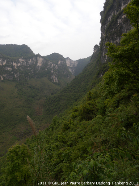 DSCN2945.JPG DSCN2945.JPG