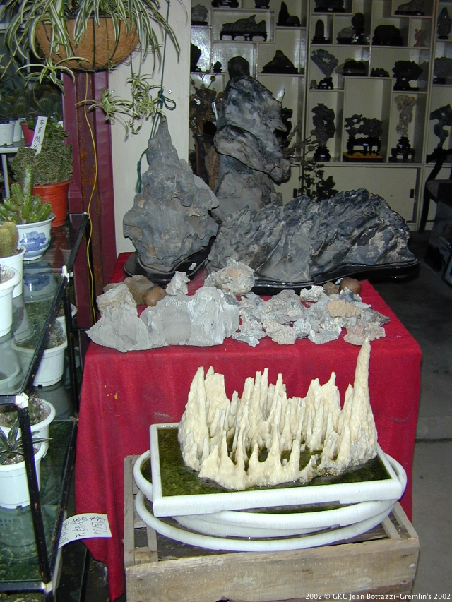 DSCN1815.JPG DSCN1815.JPG