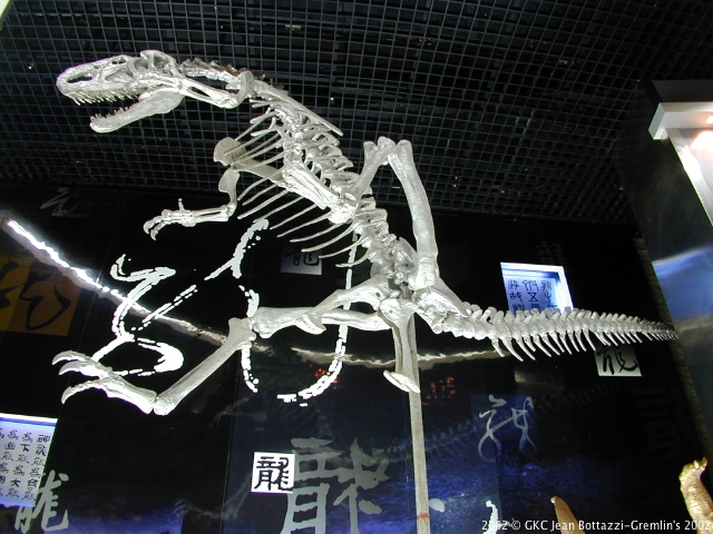 DSCN1825.JPG DSCN1825.JPG