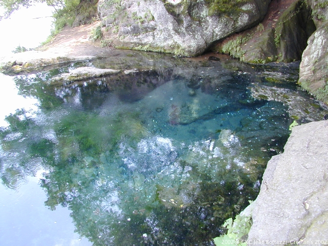 DSCN1911.JPG DSCN1911.JPG