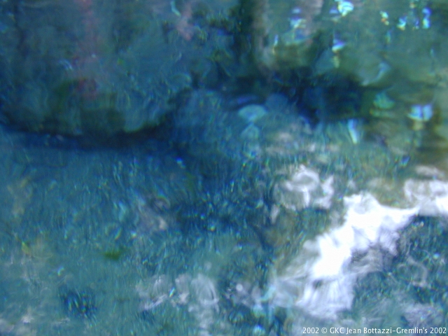 DSCN1916.JPG DSCN1916.JPG