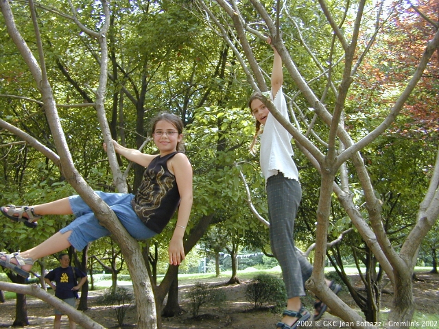 DSCN1922.JPG DSCN1922.JPG
