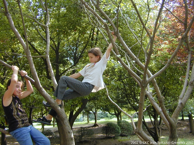 DSCN1923.JPG DSCN1923.JPG