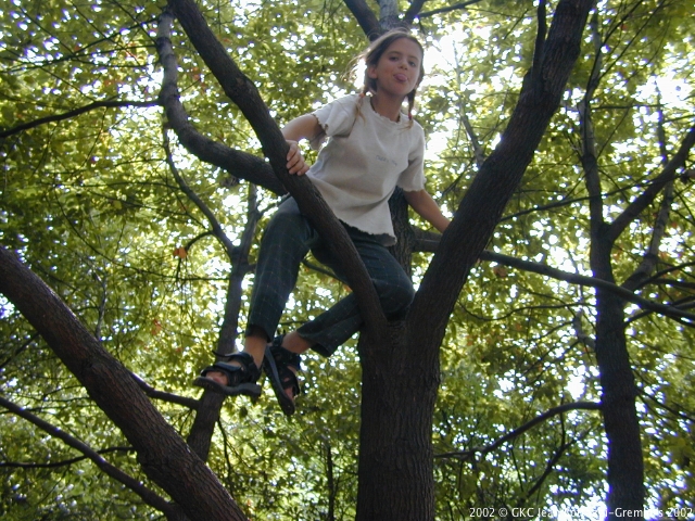 DSCN1927.JPG DSCN1927.JPG