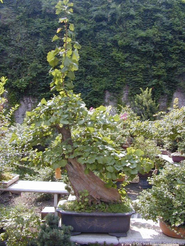 DSCN1973.JPG DSCN1973.JPG
