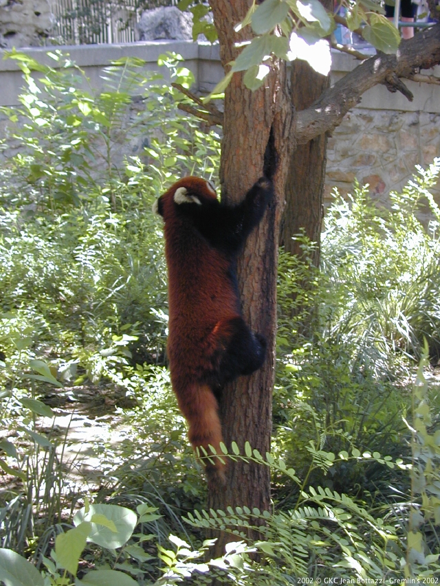 DSCN1996.JPG DSCN1996.JPG