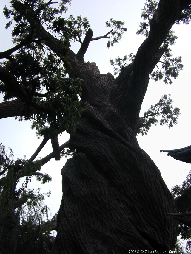 DSCN2106.JPG DSCN2106.JPG