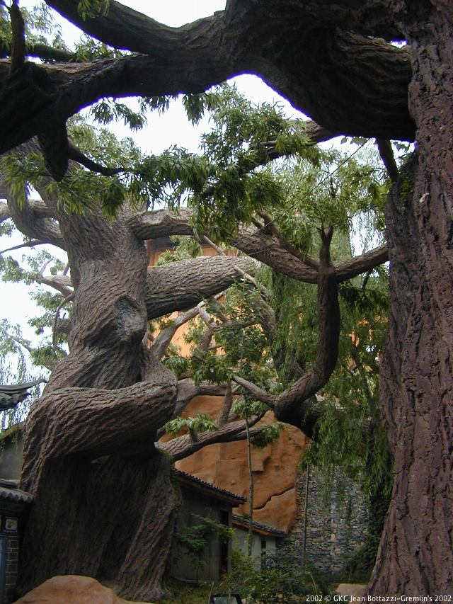 DSCN2107.JPG DSCN2107.JPG