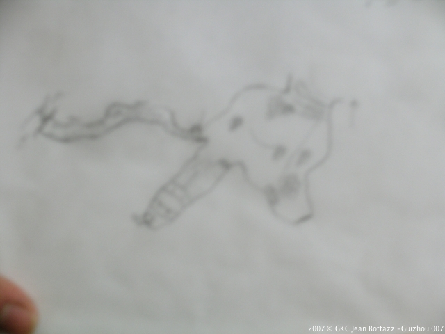 dscn9279.jpg dscn9279.jpg