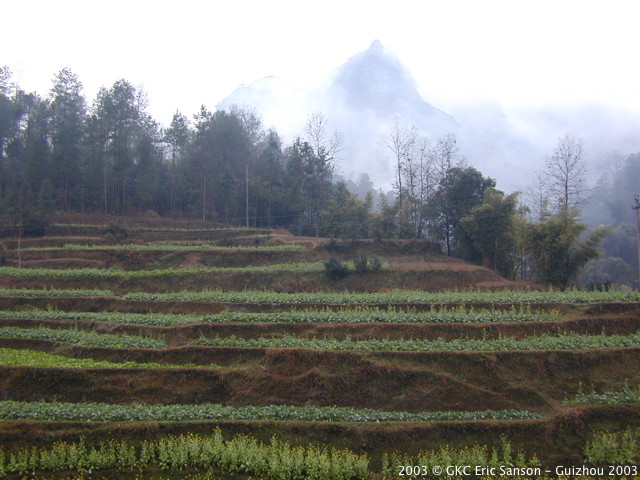 DSCN9490.JPG