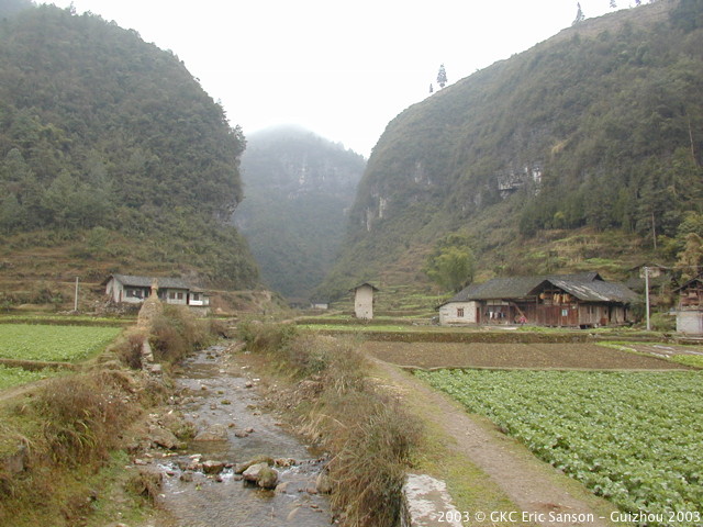DSCN9547.JPG DSCN9547.JPG