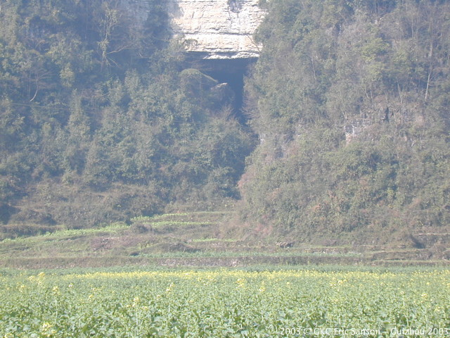 DSCN9613.JPG DSCN9613.JPG