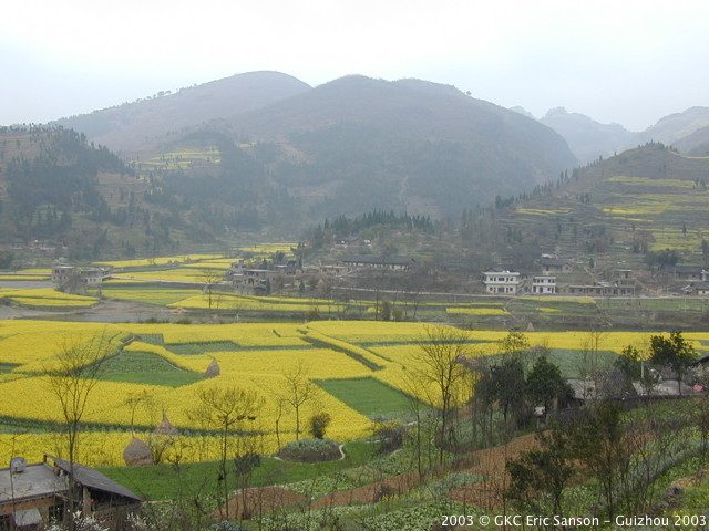 DSCN9751.JPG DSCN9751.JPG