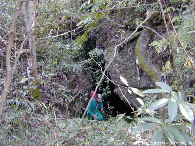 DSCN2994.JPG DSCN2994.JPG