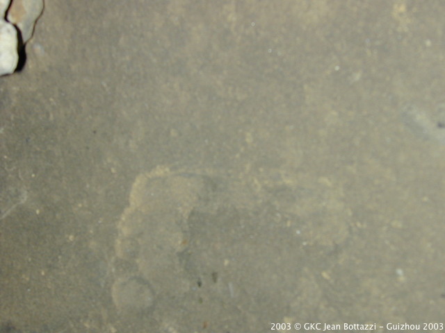 DSCN3092.JPG DSCN3092.JPG