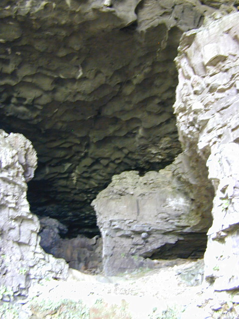 DSCN3100.JPG DSCN3100.JPG