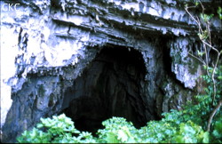 Le porche d’entrée de la grotte de Hujiadong (Zhongyi, district de Panxian, Guizhou).Entrance of Hujiadong (Zhongyi, Panxian County, Guizhou).