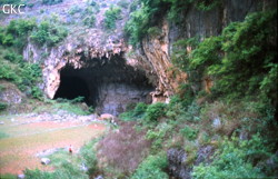 Le porche amont de la grotte de Zhujiadadong est l’ancienne perte de la rivière Xiangshuihe (Lemin-Xiangshui, district de Panxian, Guizhou).The upper entrance of Zhujiadadong is the former sinkhole of the Xiangshuihe river (Lemin, Panxian County, Guizhou).