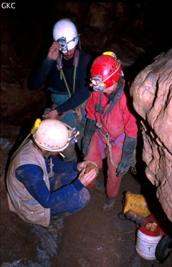 Observation (P.Ségu, N. Vanara, J.P. Barbary) in-situ de la dent de stégodon (éléphant du Pléistocène) découverte dans la grotte de Laohuyandadong à la base du puits de 14 m (Hongguo, district de Panxian, Guizhou). 