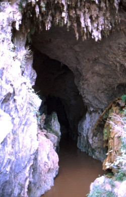 La puissante résurgence de la rivière Gesohe 革索出口, lors d'une petite crue à 70 m3/s en avril 2000. (Panxian, Liupanshui, Guizhou)