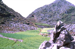 Entrée de la grotte de Xiaodaladong (Machang, district de Panxian, Guizhou).