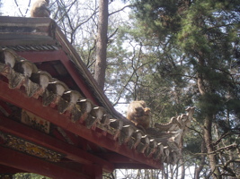 Singe sur les toitures dans le parc de Qianling (Guiyang 贵阳, Guizhou 贵州). 