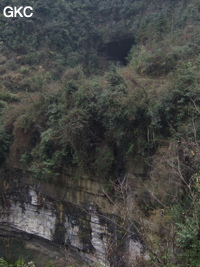 Entrée de la résurgence perchée de Dadongpiandong - 大洞偏洞 - (Suiyang 绥阳, Zunyi Shi 遵义市, Guizhou 贵州省, Chine)