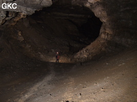 Grotte de Hongzhaozidong  红罩子洞 - Réseau de Shuanghedong 双河洞 - (Suiyang 绥阳,  Zunyi Shi 遵义市, Guizhou 贵州省, Chine)