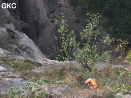 Zhongdongtiankeng