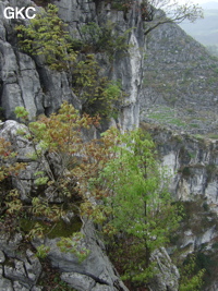 Zhongdongtiankeng