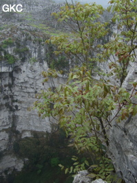 Zhongdongtiankeng