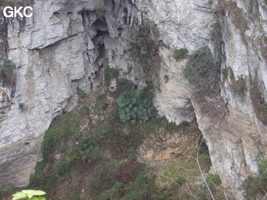 Zhongdongtiankeng