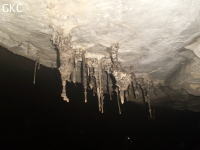 Rares concrétions dans la grotte de Dadongpiandong - 大洞偏洞 - (Suiyang 绥阳, Zunyi Shi 遵义市, Guizhou 贵州省, Chine)