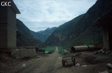 Jiaocaidong