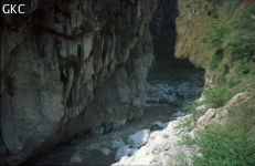 Gesoluoshuidong