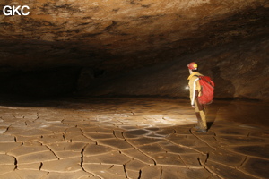 Grotte de Hongzhaozidong  红罩子洞 - Réseau de Shuanghedong 双河洞 - (Suiyang 绥阳,  Zunyi Shi 遵义市, Guizhou 贵州省, Chine)