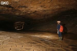 Grotte de Hongzhaozidong  红罩子洞 - Réseau de Shuanghedong 双河洞 - (Suiyang 绥阳,  Zunyi Shi 遵义市, Guizhou 贵州省, Chine)