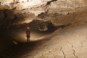 Grotte de Hongzhaozidong  红罩子洞 - Réseau de Shuanghedong 双河洞 - (Suiyang 绥阳,  Zunyi Shi 遵义市, Guizhou 贵州省, Chine)