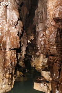 Grotte de Hongzhaozidong  红罩子洞 - Réseau de Shuanghedong 双河洞 - (Suiyang 绥阳,  Zunyi Shi 遵义市, Guizhou 贵州省, Chine)