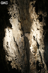 Hongzhaozidong