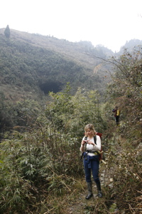 Au loin l'entrée de la résurgence perchée de Dadongpiandong - 大洞偏洞 - (Suiyang 绥阳, Zunyi Shi 遵义市, Guizhou 贵州省, Chine)